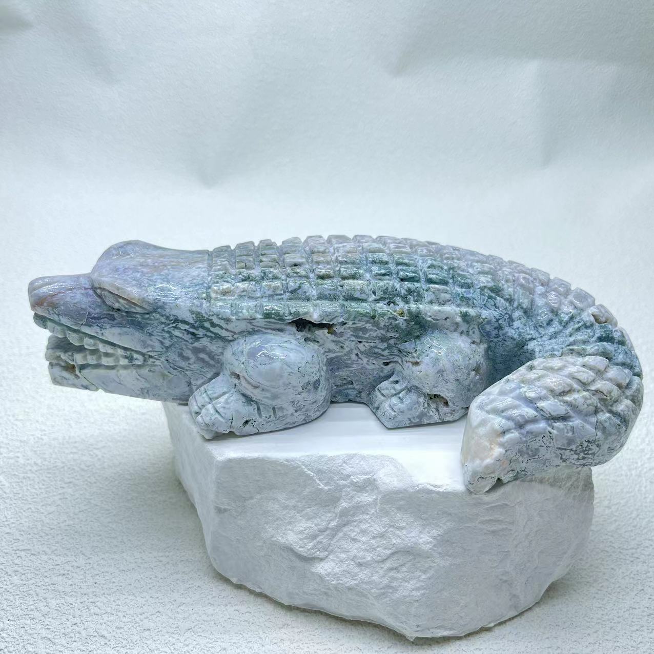 Alligator Ocean Jasper