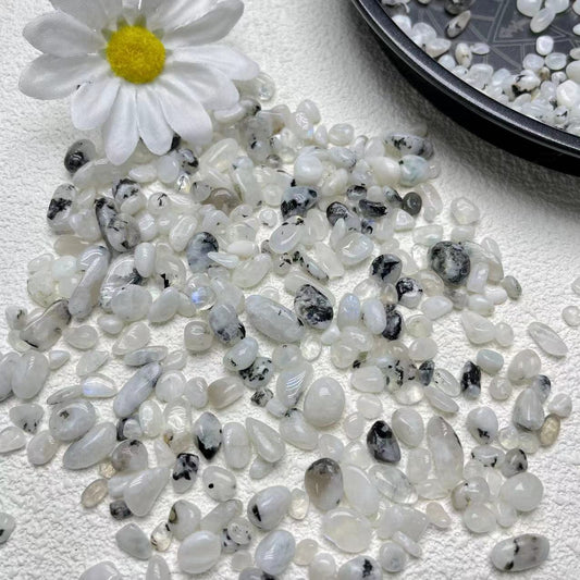 Black Dot White Moonstone Chips