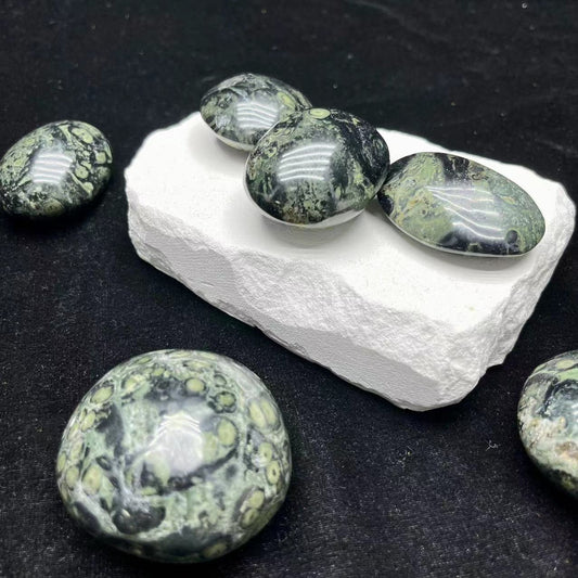 Kambaba Jasper Palm