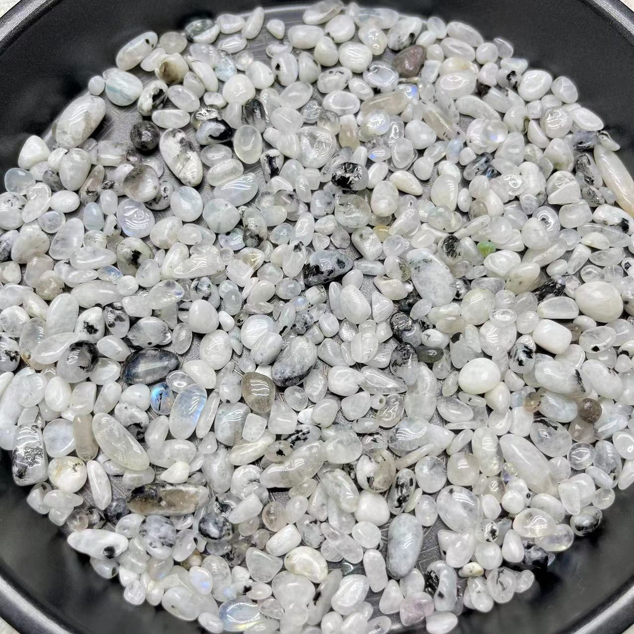 Black Dot White Moonstone Chips