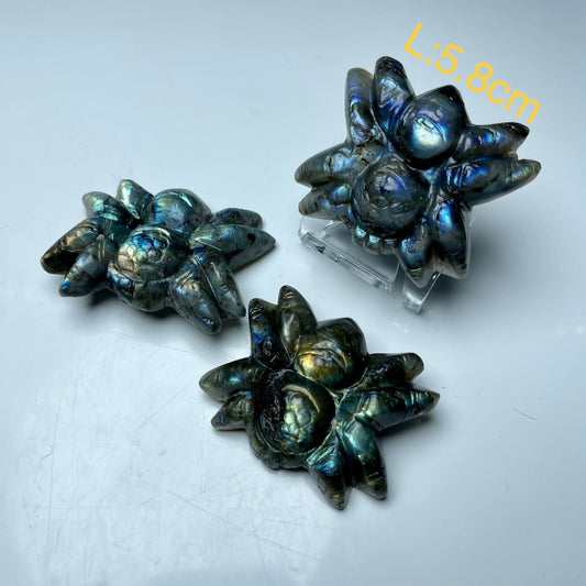 Labradorite Spider crystal carving,set of 1