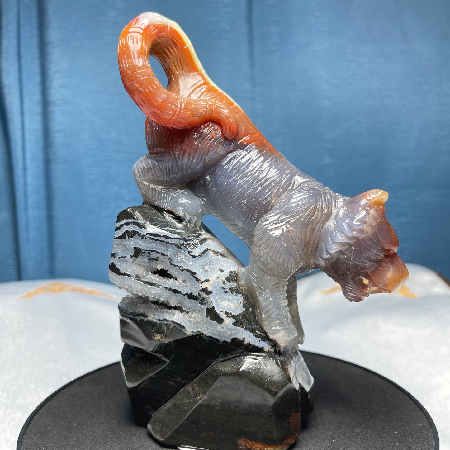 Red and Black Agate Tiger Downhill