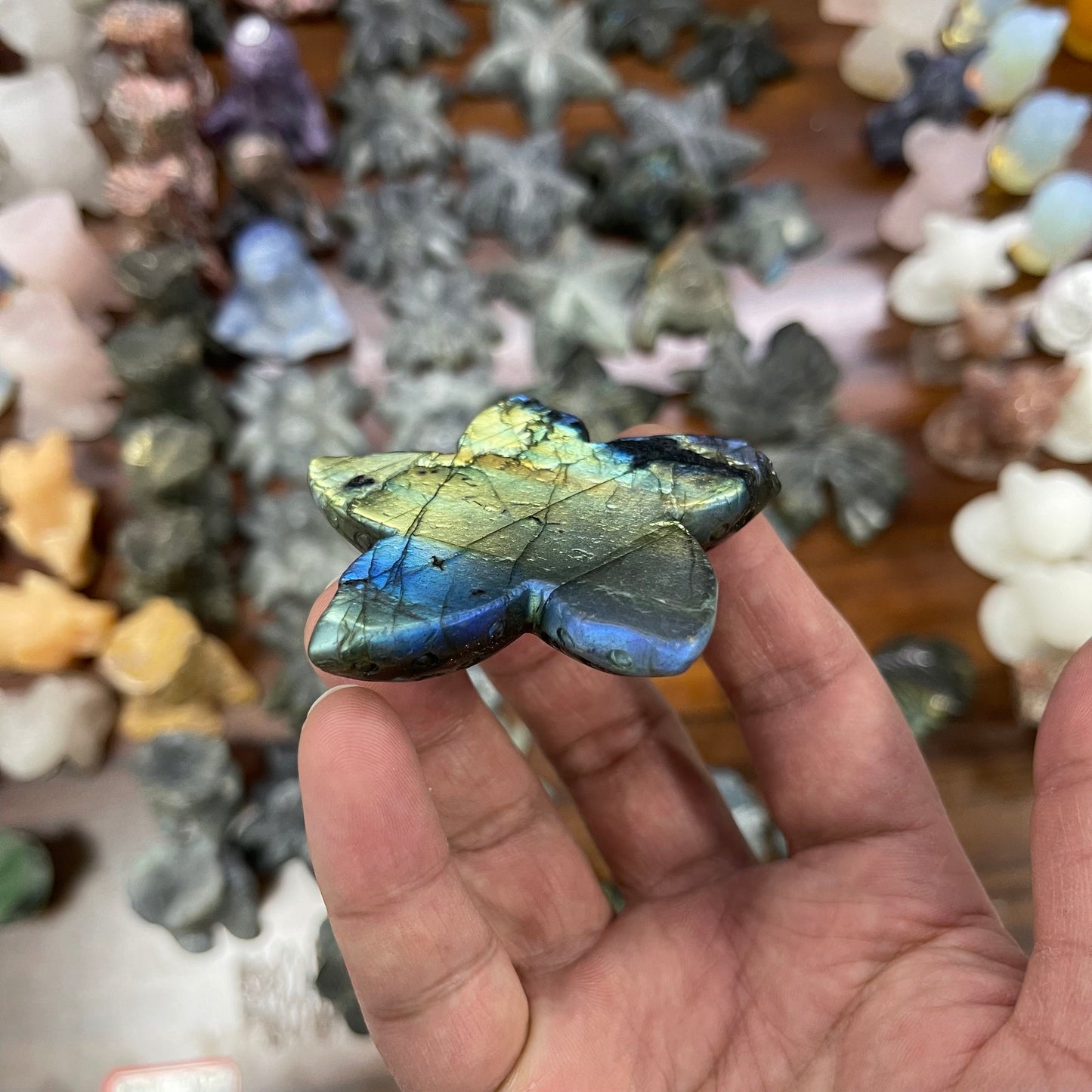 Labradorite Lotus and Star Fish,set of 1