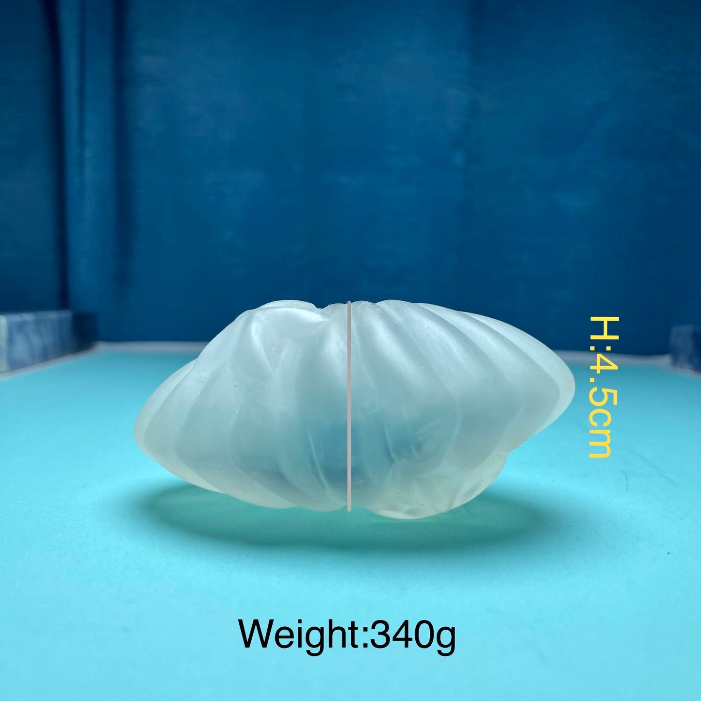 Selenite Shell Carving