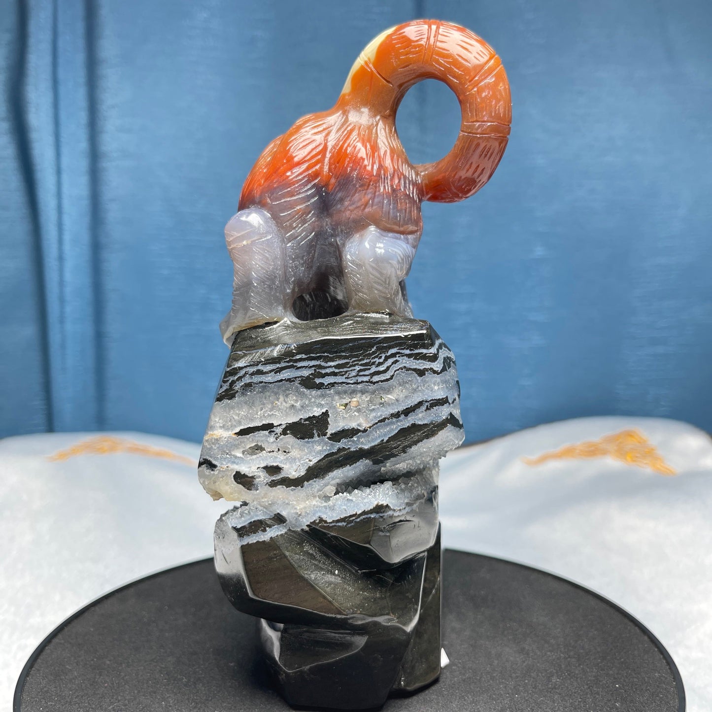 Red and Black Agate Tiger Downhill