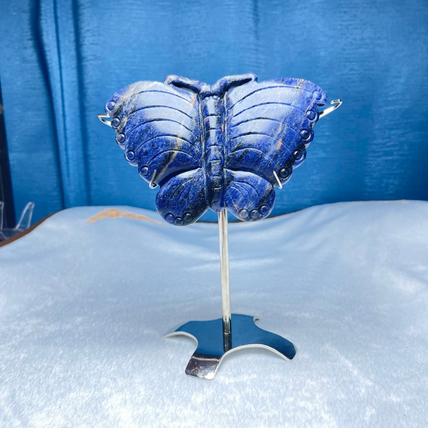 Goldener und silberner Ständer für Flügel Schmetterling oder andere Platte