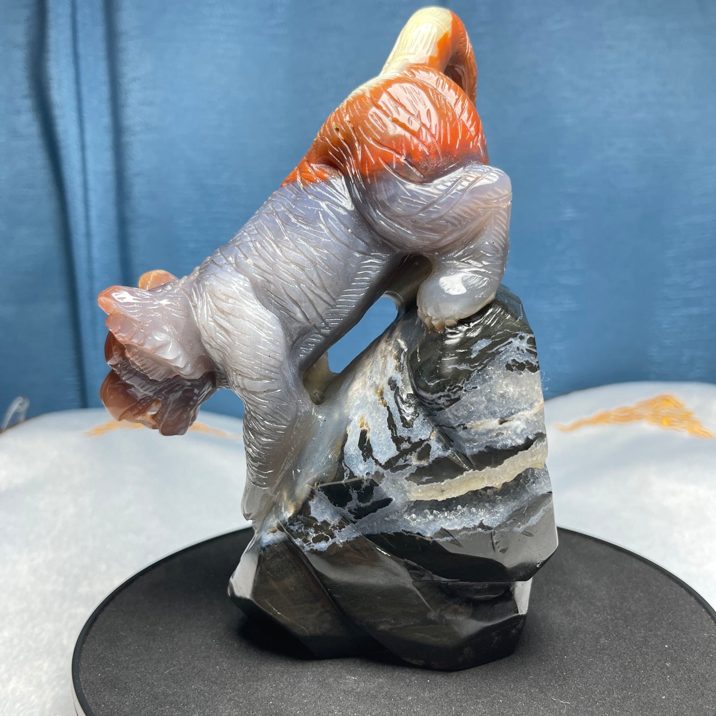 Red and Black Agate Tiger Downhill