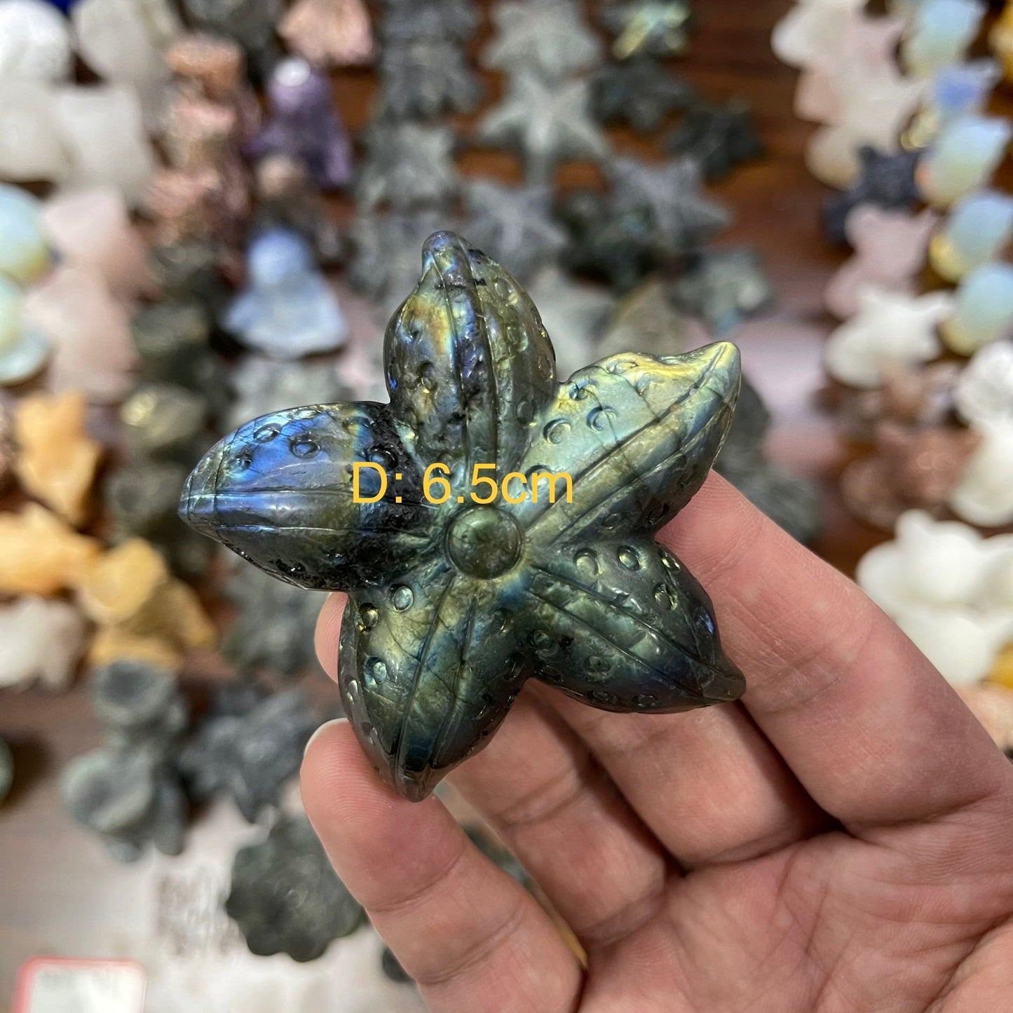 Labradorite Lotus and Star Fish,set of 1